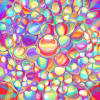 pearl-12.jpg (467986 bytes)