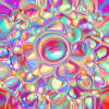pearl-14.jpg (470043 bytes)