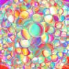 pearl-4.jpg (442662 bytes)