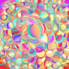 pearl-5.jpg (437612 bytes)